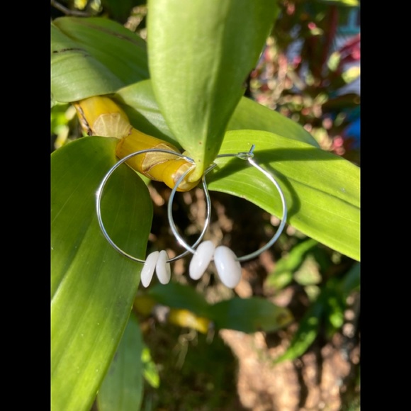 Authentic Hawaiian Puka shell earrings - Picture 2 of 8